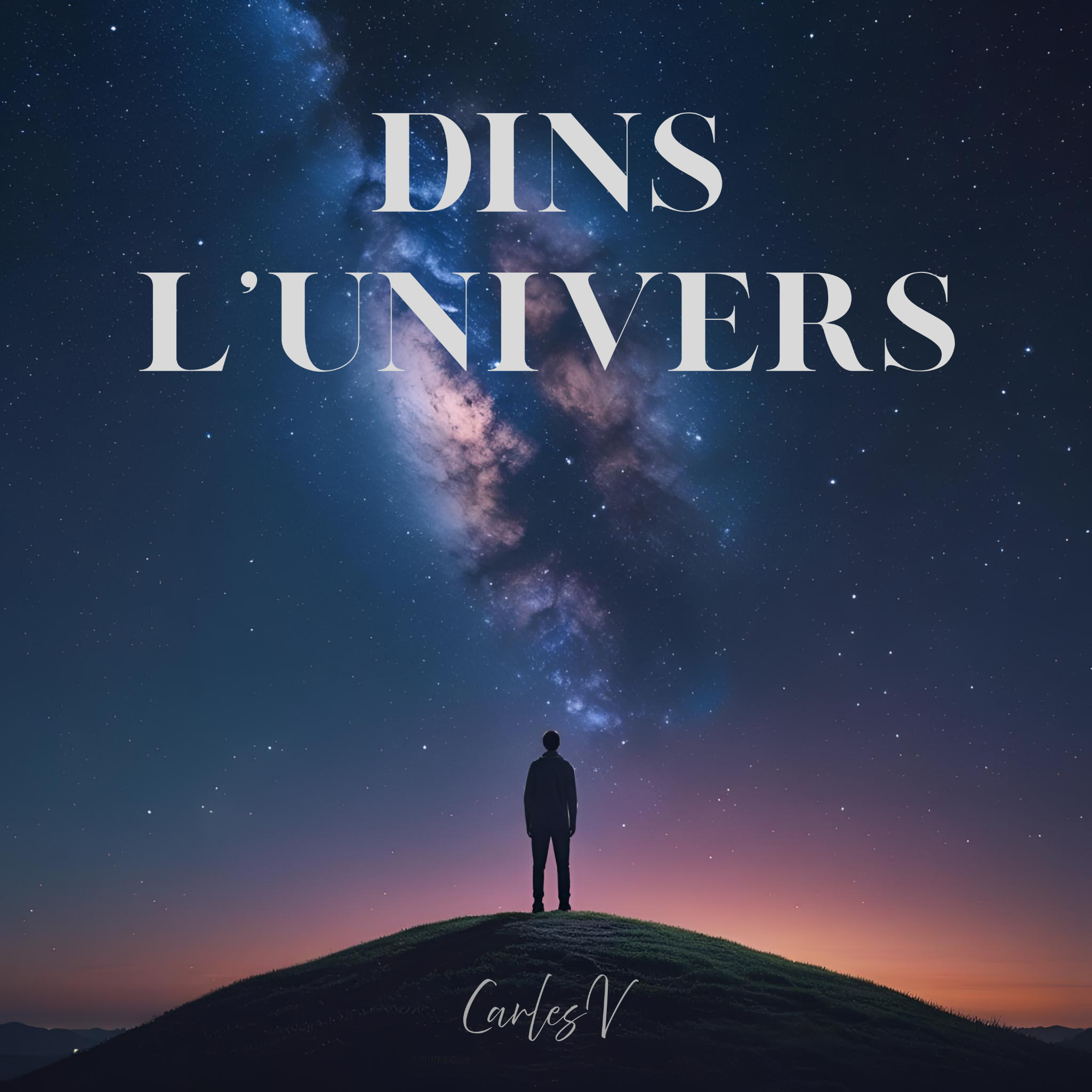 Portada de Dins l’univers